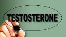 Basics of Testosterone