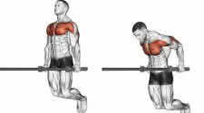 Dips Exercise