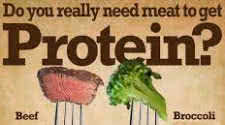 How Much Protein