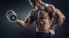 Insulin and Muscle Building