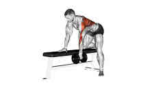 One-Arm Dumbbell Rows