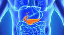 Pancreas and Insulin