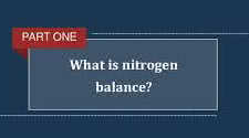 Positive Nitrogen Balance