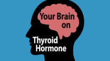 Thyroid Hormone